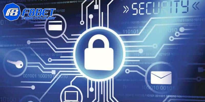 Quyền lợi và trách nhiệm của các thành viên tham gia