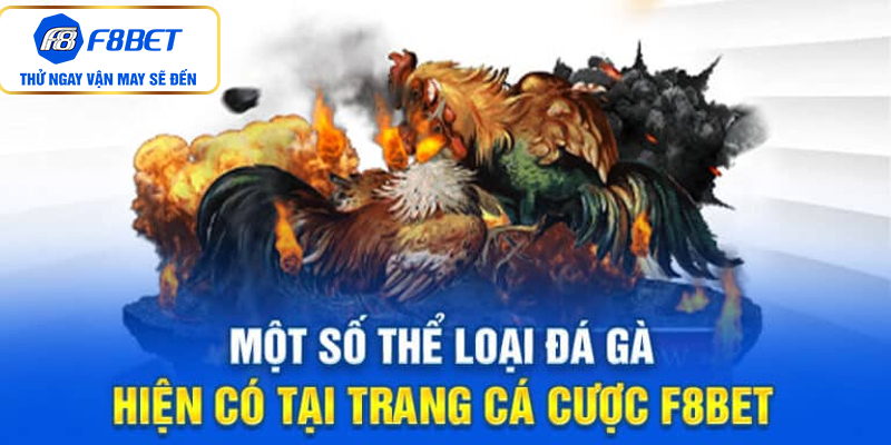 Các thể loại đá gà được trực tiếp tại F8bet hiện nay